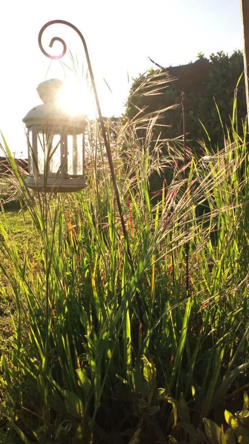 Bed & Breakfast La Pause - Val De Loire 5*