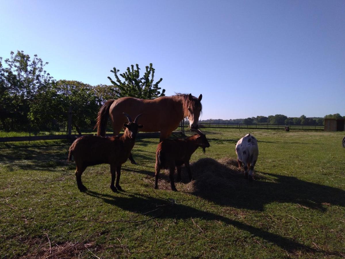 Bed & Breakfast La Pause - Val De Loire 5*